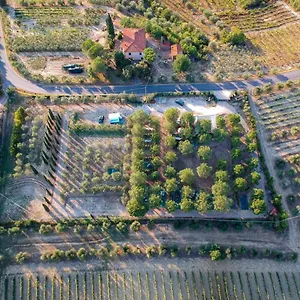  Camping Agricamping Poggio Ai Pini Wine